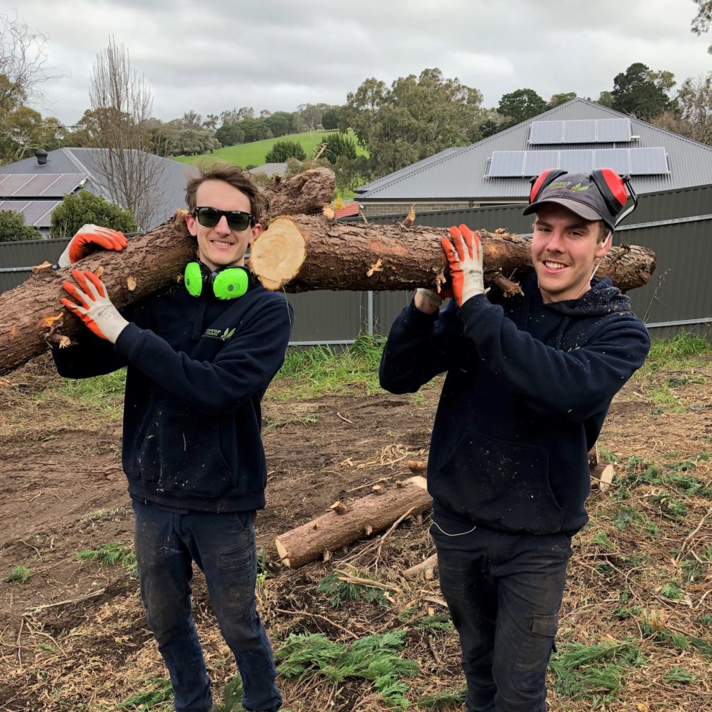 TipTop Gardens Adelaide Tree Cutting