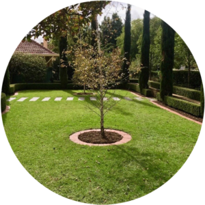 TipTop Gardens Garden Maintenance Tree Adelaide Services