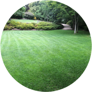 TipTop Gardens Lawn Care Adelaide Services