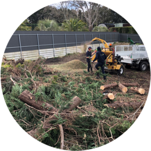 TipTop Gardens Tree Services Adelaide Services